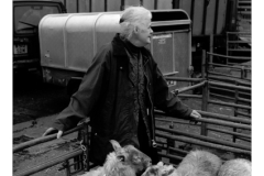 Documentary Collection